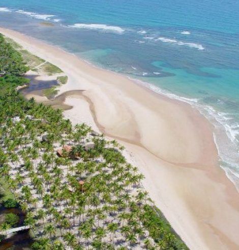 Cómo nació Lolalandia, el lugar donde viven los sueños