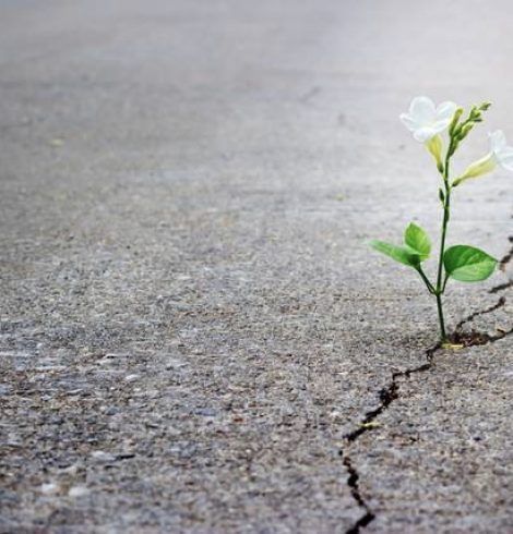 La resiliencia, ese súper poder