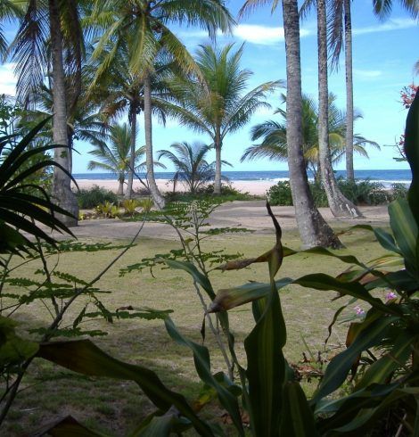 Regreso del mundo de los sueños, el tsunami