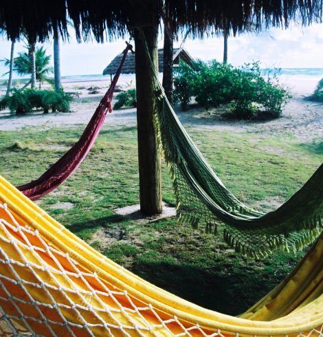 Un viaje al mundo de los sueños (II)